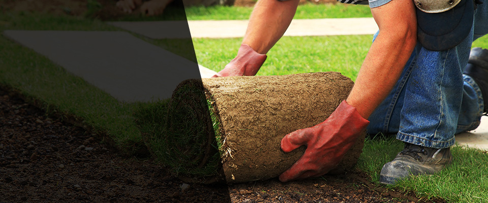 Clinton Landscapers
